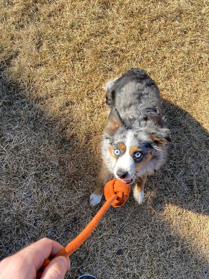Climber Crafts - Handmade Upcycled Climbing Rope Dog Toy