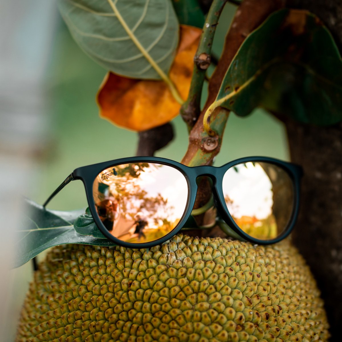 Hurricane - Matte Black - Dreamsicle Polarized-Goodwynn'sGoodwynn's