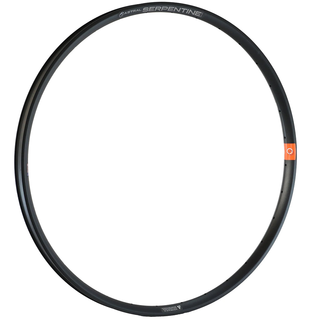 Astral Serpentine 29" Alloy Disc Brake Rim 32h Black-Goodwynn'sGoodwynn's