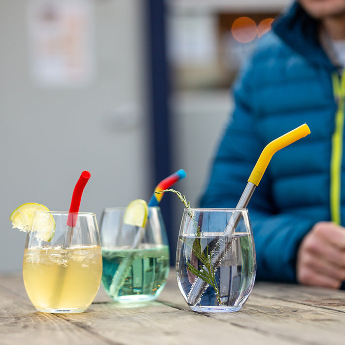 Straw 6-Pack-Goodwynn'sGoodwynn's