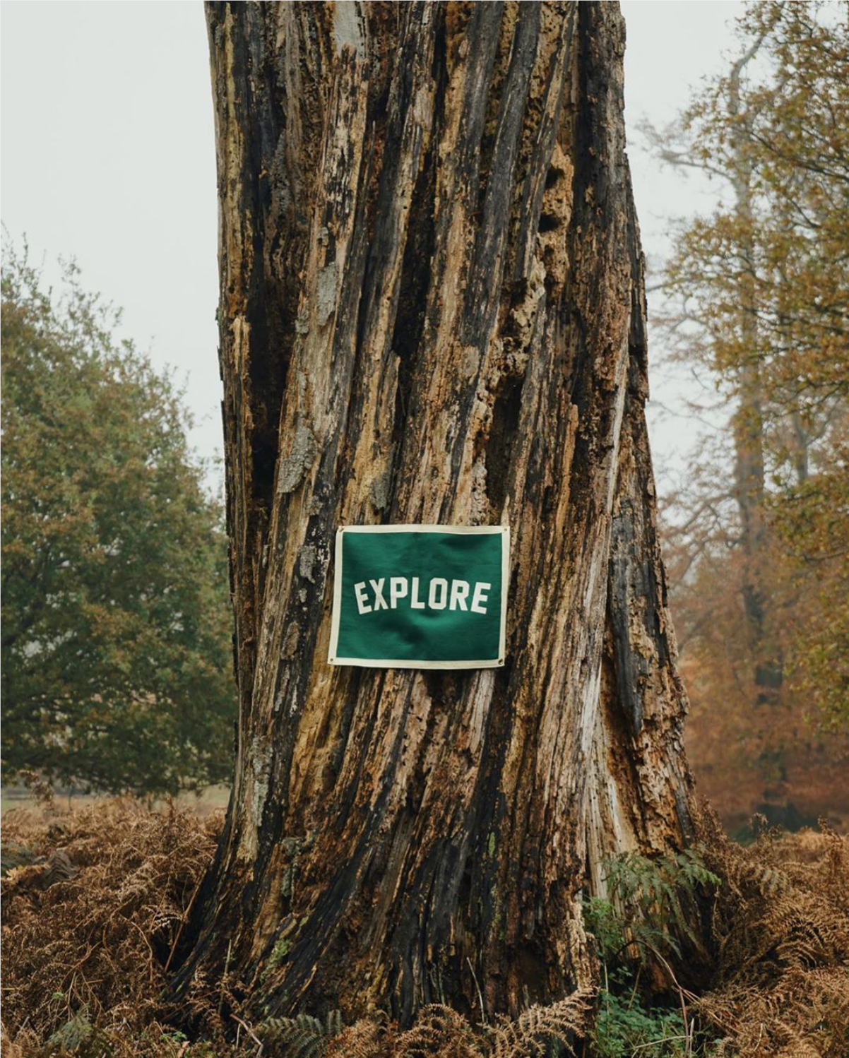 Explore Camp Flag-Goodwynn'sGoodwynn's