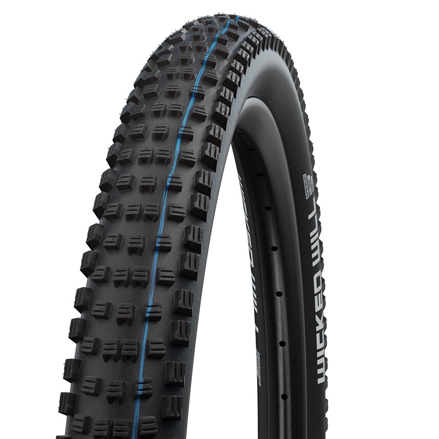 Schwalbe Wicked Will Mountain Tire 29"2.25 Wire Tubeless Ready Addix Speedgrip Super Ground TL Easy Black-Goodwynn'sGoodwynn's