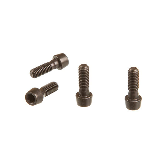SRAM Faceplate Bolt Kit for SL Sprint 11.6518.003.000-Goodwynn's