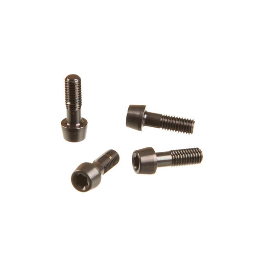 SRAM Faceplate/Bolt Kit for SL Speed B1 11.6518.015.000-Goodwynn's