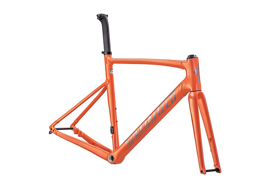 Specialized allez sprint frmset gloss cactus bloom/holographic foil 52-Goodwynn'sGoodwynn's