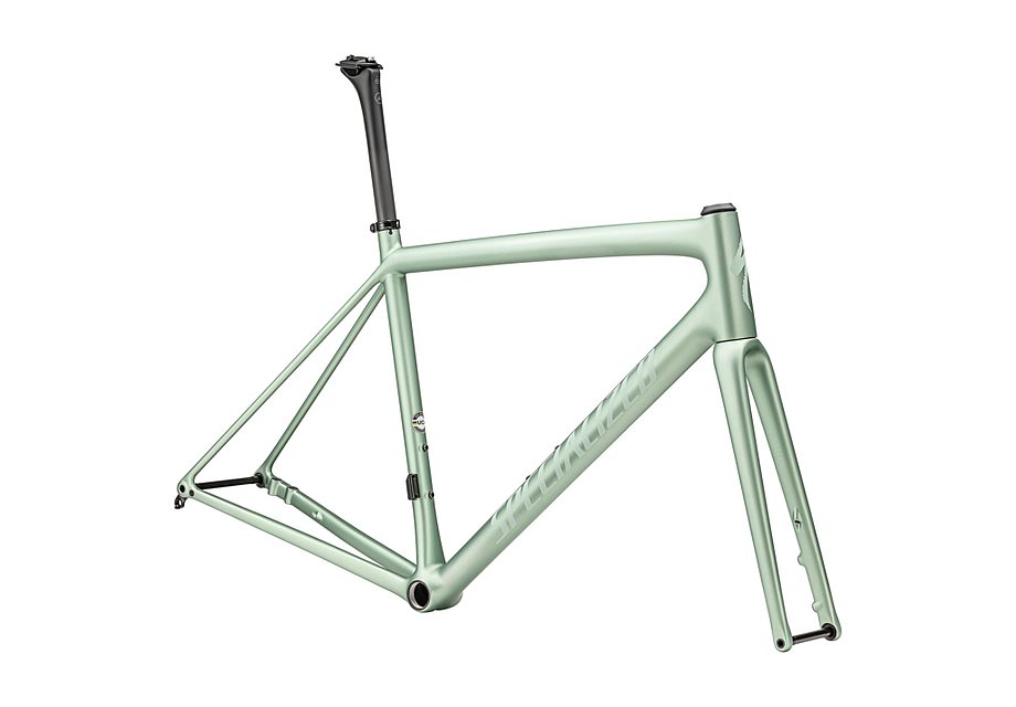 Specialized aethos frmset satin metallic white sage/white sage 56