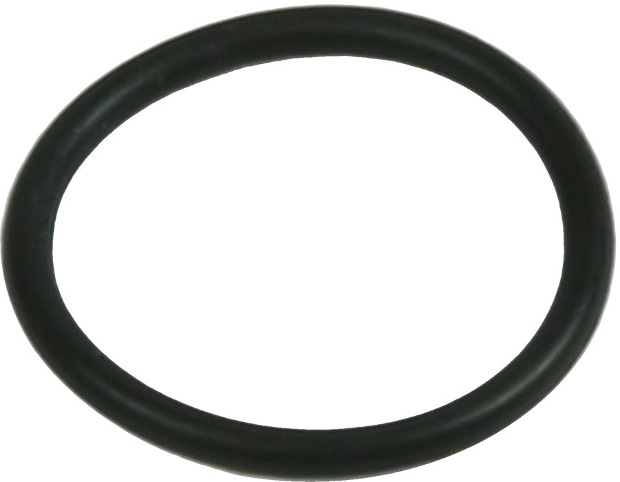 Hope V4 Large Disc Brake Disc Brake Caliper Bore Cap O-Ring - Sold Individually-Goodwynn'sGoodwynn's