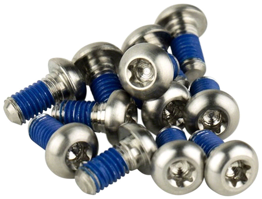 SRAM Titanium T25 Rotor Bolt Kit - Silver Set of 12-Goodwynn'sGoodwynn's