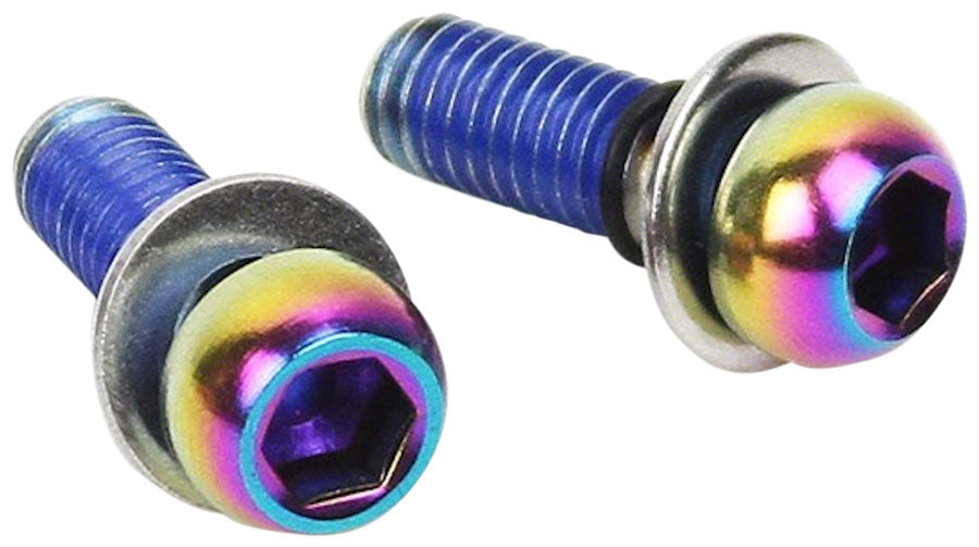 SRAM Caliper Mounting Hardware Direct Standard Mount - Stainless Rainbow Bolts-Goodwynn'sGoodwynn's
