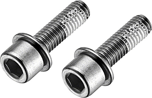 TRP Flat Mount Disc Brake Bolts - 17mm Stainless-Goodwynn's