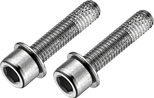 TRP Flat Mount Disc Brake Bolts - 22mm Stainless-Goodwynn's