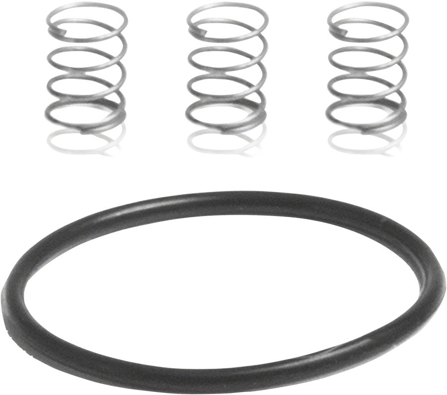 Industry Nine Torch Road Pawl Spring Kit: 3 Springs and 1 1x17mm O-Ring-Goodwynn'sGoodwynn's