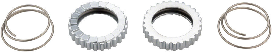 DT Swiss 18t Superlight Star Ratchet Kit: Includes Springs and Grease-Goodwynn'sGoodwynn's