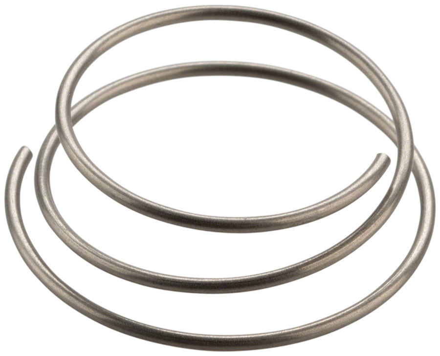 DT Swiss Star Ratchet Spring-Goodwynn'sGoodwynn's