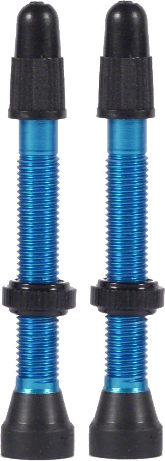 WTB Aluminum TCS Tubeless Valves: 34mm Pair-Goodwynn&#39;sGoodwynn&#39;s