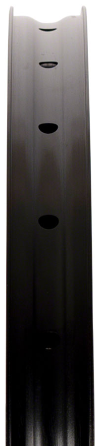 Stans NoTubes Flow EX3 Rim - 29 Disc Black 32H