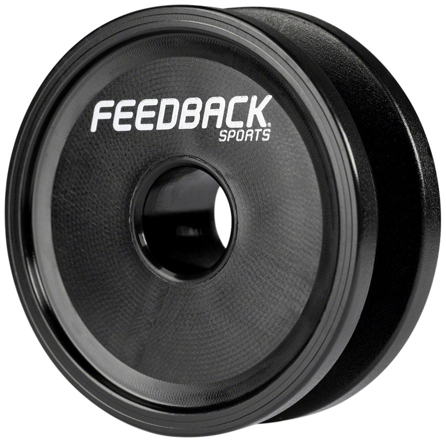 Feedback Sports Thru-Axle Chain Keeper-Goodwynn'sGoodwynn's