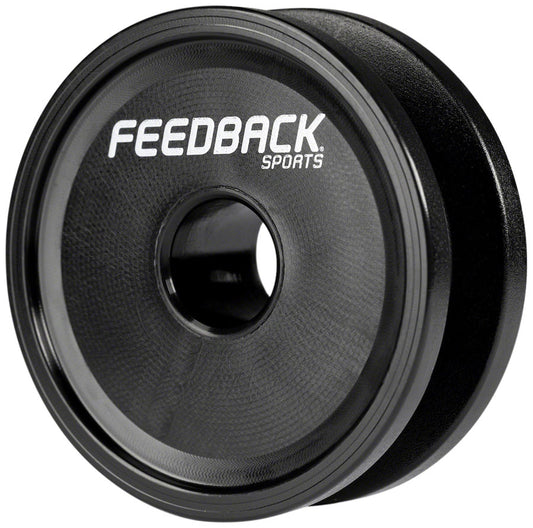 Feedback Sports Thru-Axle Chain Keeper-Goodwynn's