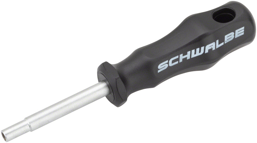 Schwalbe Tire Stud Tool Kit - 50 Steel Studs-Goodwynn'sGoodwynn's