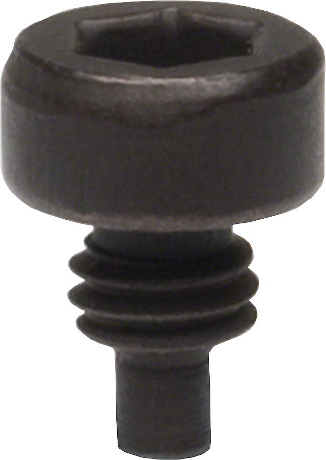 Park Tool Replacement Pin for Park BB Spanner (HCW-4) Sold Each-Goodwynn'sGoodwynn's