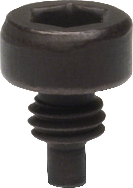 Park Tool Replacement Pin for Park BB Spanner (HCW-4) Sold Each-Goodwynn's