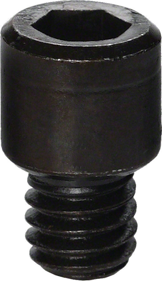 Park Tool 116S Cap Screw for 100-3C Profesional Clamp-Goodwynn'sGoodwynn's