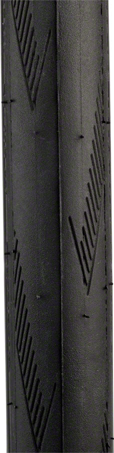 Schwalbe Pro One Tire - 700 x 30 Clincher Folding BLK Evolution Line Addix Race-Goodwynn'sGoodwynn's