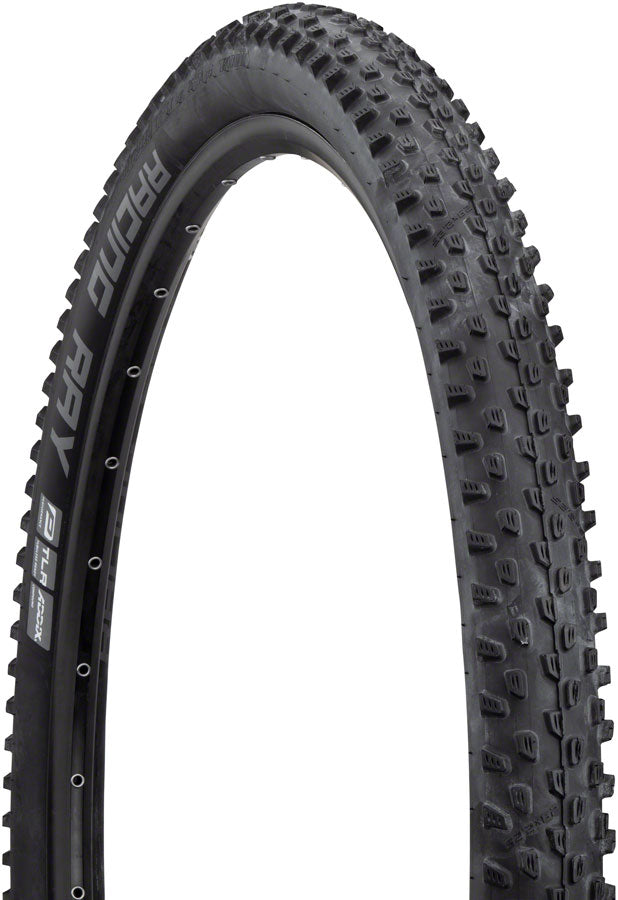 Schwalbe Racing Ray Tire - 29 x 2.25 Tubeless Folding BLK Performance Line TwinSkin Addix-Goodwynn'sGoodwynn's