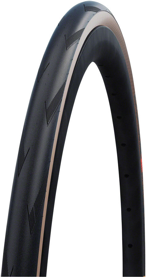 Schwalbe Pro One Tire - 700 x 32 Tubeless Folding BLK/Transparent Evolution Super Race Addix Race V-Guard-Goodwynn'sGoodwynn's