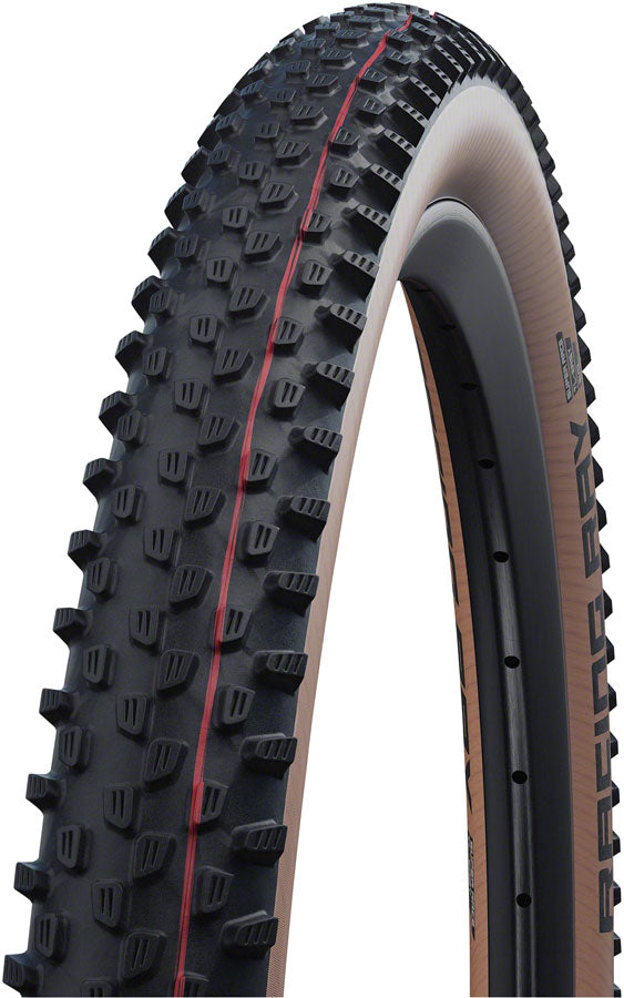 Schwalbe Racing Ray Tire - 29 x 2.25 Tubeless Folding BLK/Transparent Evolution Super Race Addix Speed-Goodwynn'sGoodwynn's