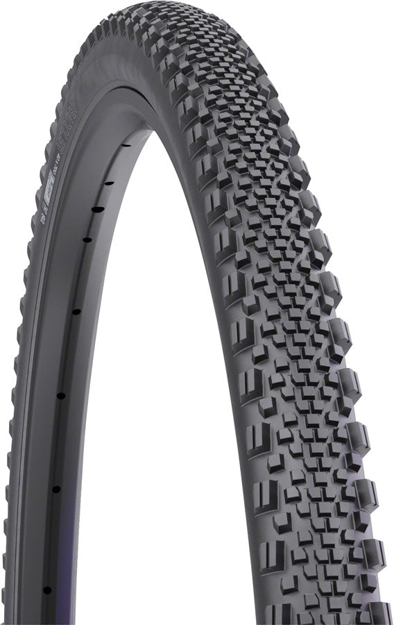 WTB Raddler Tire - 700 x 40 TCS Tubeless Folding BLK Light Fast Rolling SG2-Goodwynn'sGoodwynn's