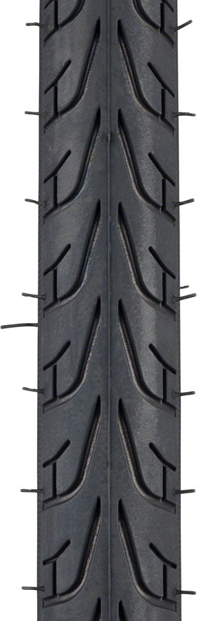 Vittoria Randonneur Classic Tire-Goodwynn'sGoodwynn's