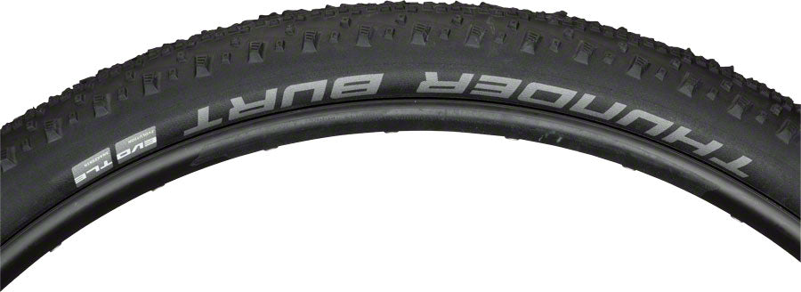 Schwalbe Thunder Burt Tire - 29 x 2.25 Tubeless Folding BLK Evolution Super Ground Addix Speed-Goodwynn'sGoodwynn's