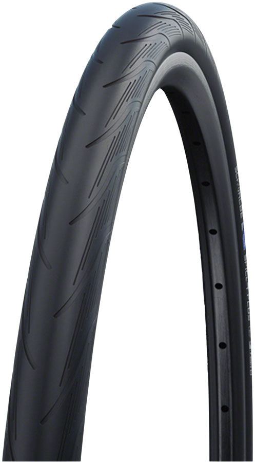 Schwalbe Spicer Plus Tire-Goodwynn'sGoodwynn's