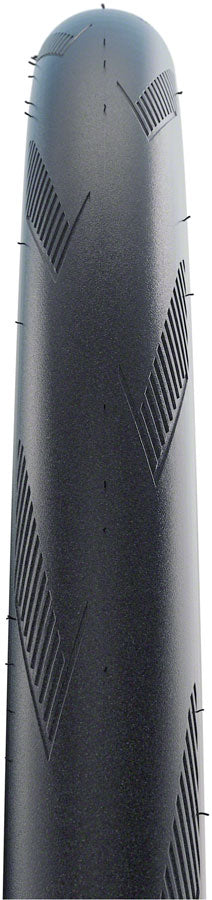 Schwalbe One Tire - 700 x 25 Tubeless Folding Bronze Performance Line RaceGuard Addix E-25-Goodwynn'sGoodwynn's