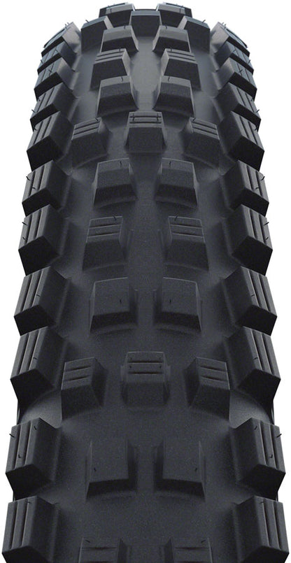 Schwalbe Magic Mary Tire - 29 x 2.25" Tubeless Folding BLK Evolution Line Addix Soft Super Trail