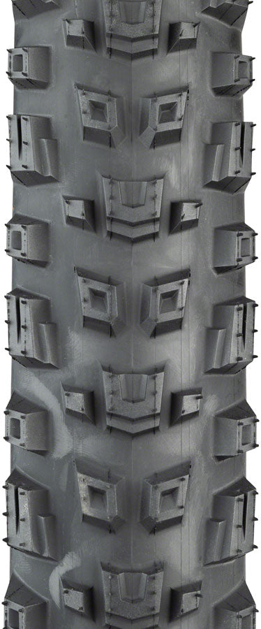 Teravail Warwick Tire - 29 x 2.5 Tubeless Folding Tan Light Supple Fast Compound-Goodwynn'sGoodwynn's