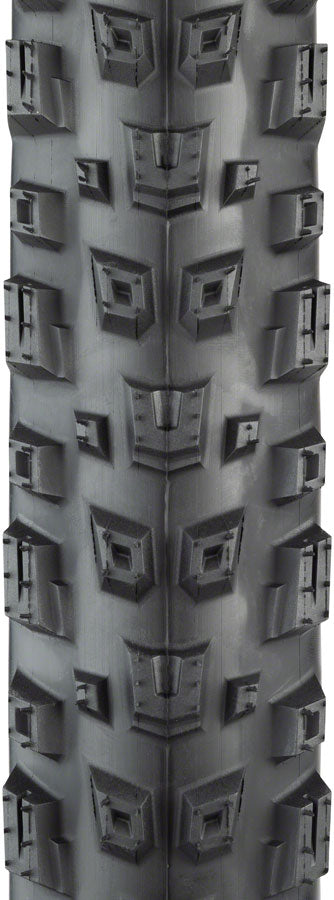 Teravail Warwick Tire - 29 x 2.3 Tubeless Folding BLK Light Supple Fast Compound-Goodwynn'sGoodwynn's
