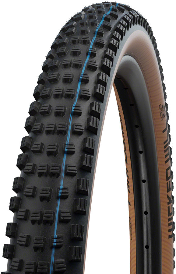 Schwalbe Wicked Will Tire - 29 x 2.25 Tubeless Folding BLK/Transparent Evolution Line Super Race Addix SpeedGrip-Goodwynn'sGoodwynn's