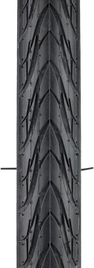 Michelin Protek Tire-Goodwynn'sGoodwynn's