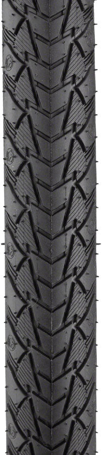 Continental Contact Plus Tire-Goodwynn'sGoodwynn's