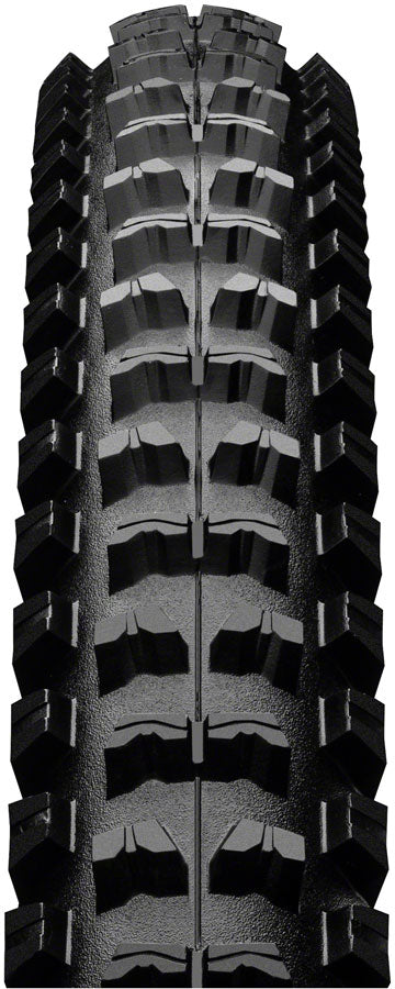 Continental Der Kaiser Projekt Tire - Clincher Folding ProTection Apex-Goodwynn'sGoodwynn's