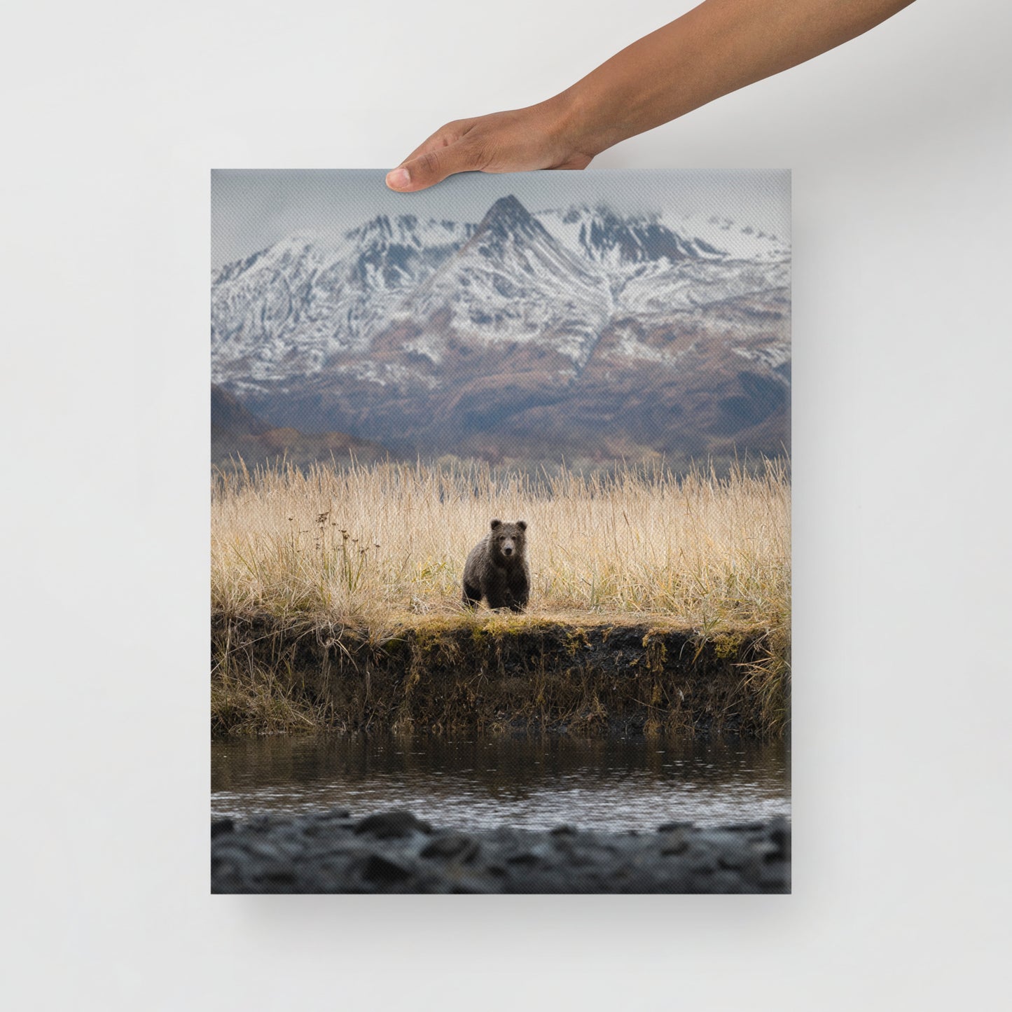 Micheal Foushee - Mountain Bear Canvas