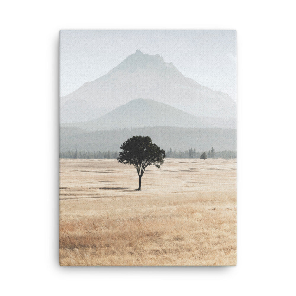 Michael Foushee - Jefferson Tree Print