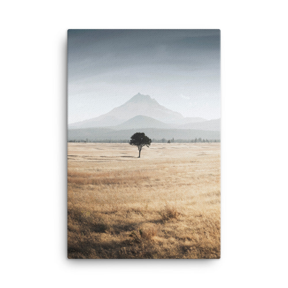 Michael Foushee - Jefferson Tree Print
