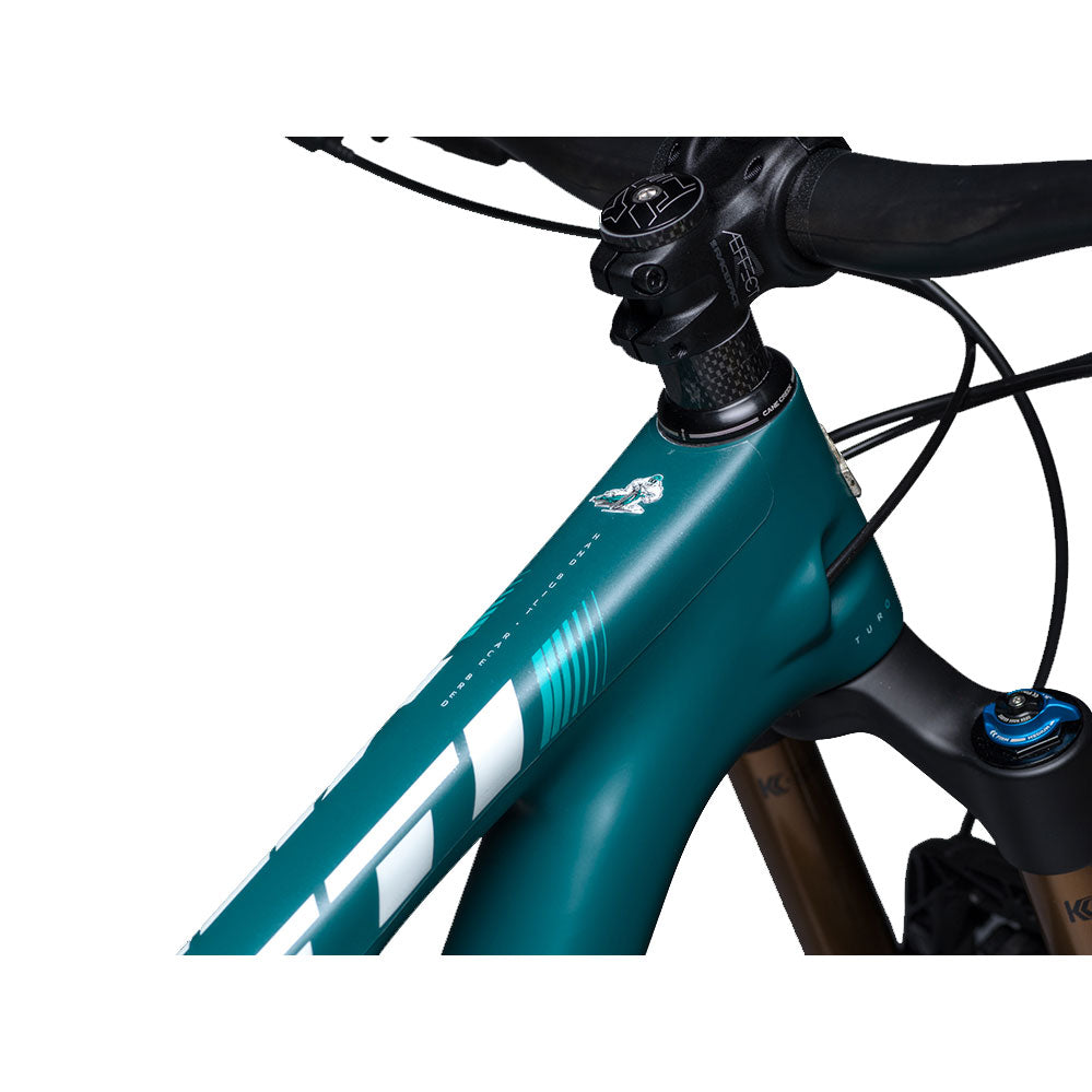 DYEDBRO Frame Protection Matte Clear Black Logo-Goodwynn'sGoodwynn's