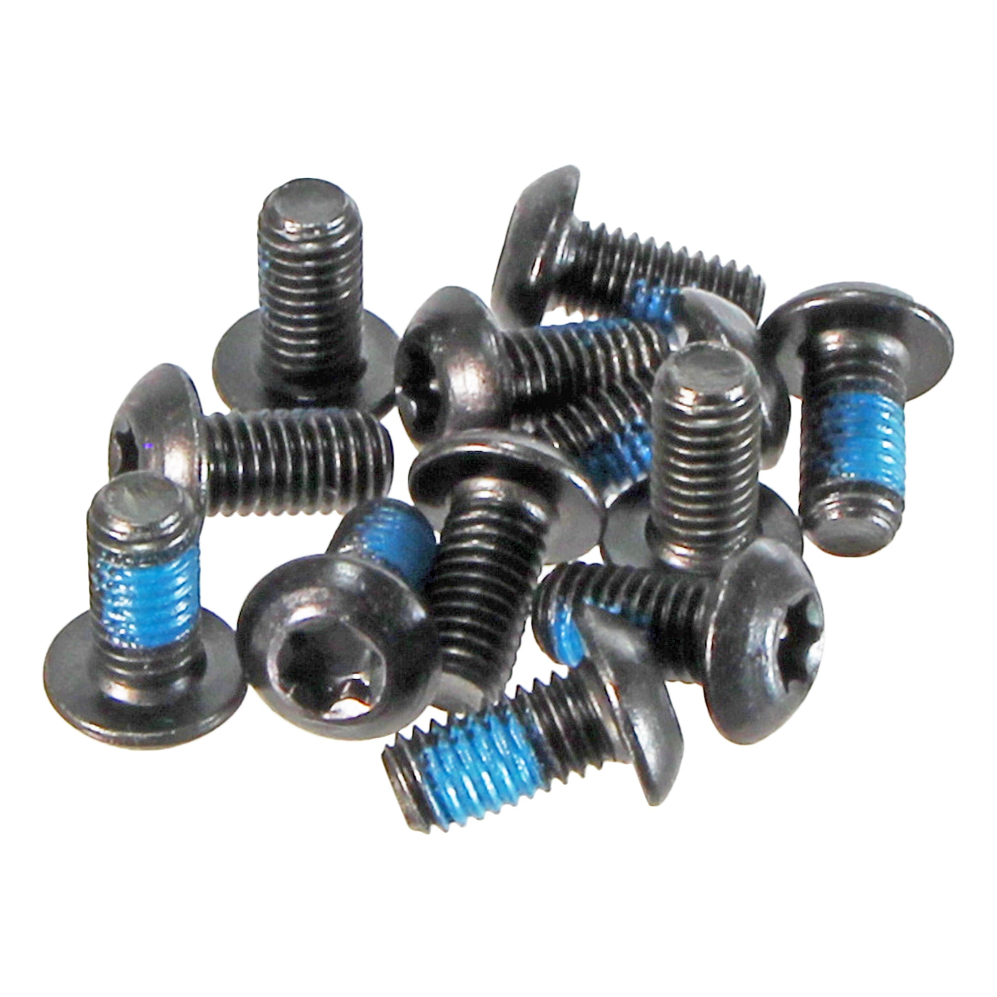 Hayes T25 Torx Rotor Bolts Bag/12-Goodwynn'sGoodwynn's