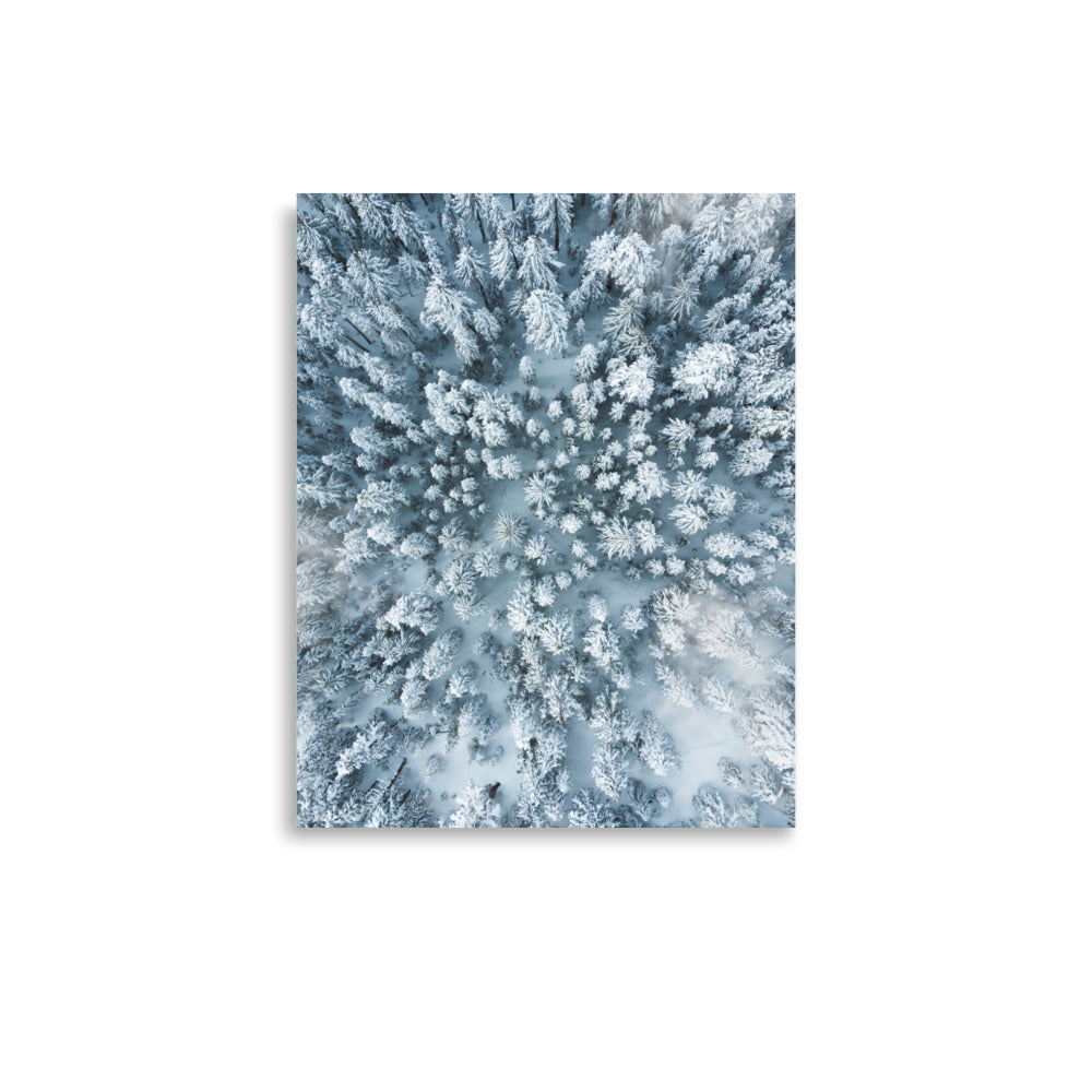 Michael Foushee - Winter Trees Print